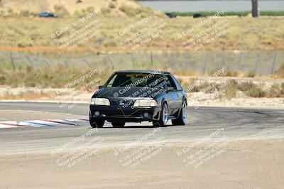 media/Jul-27-2024-Speed Ventures (Sat) [[14cea0cda4]]/Purple/Cotton Corners 1250pm/